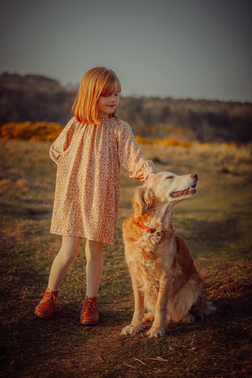 Daphne Dress Sewing Pattern