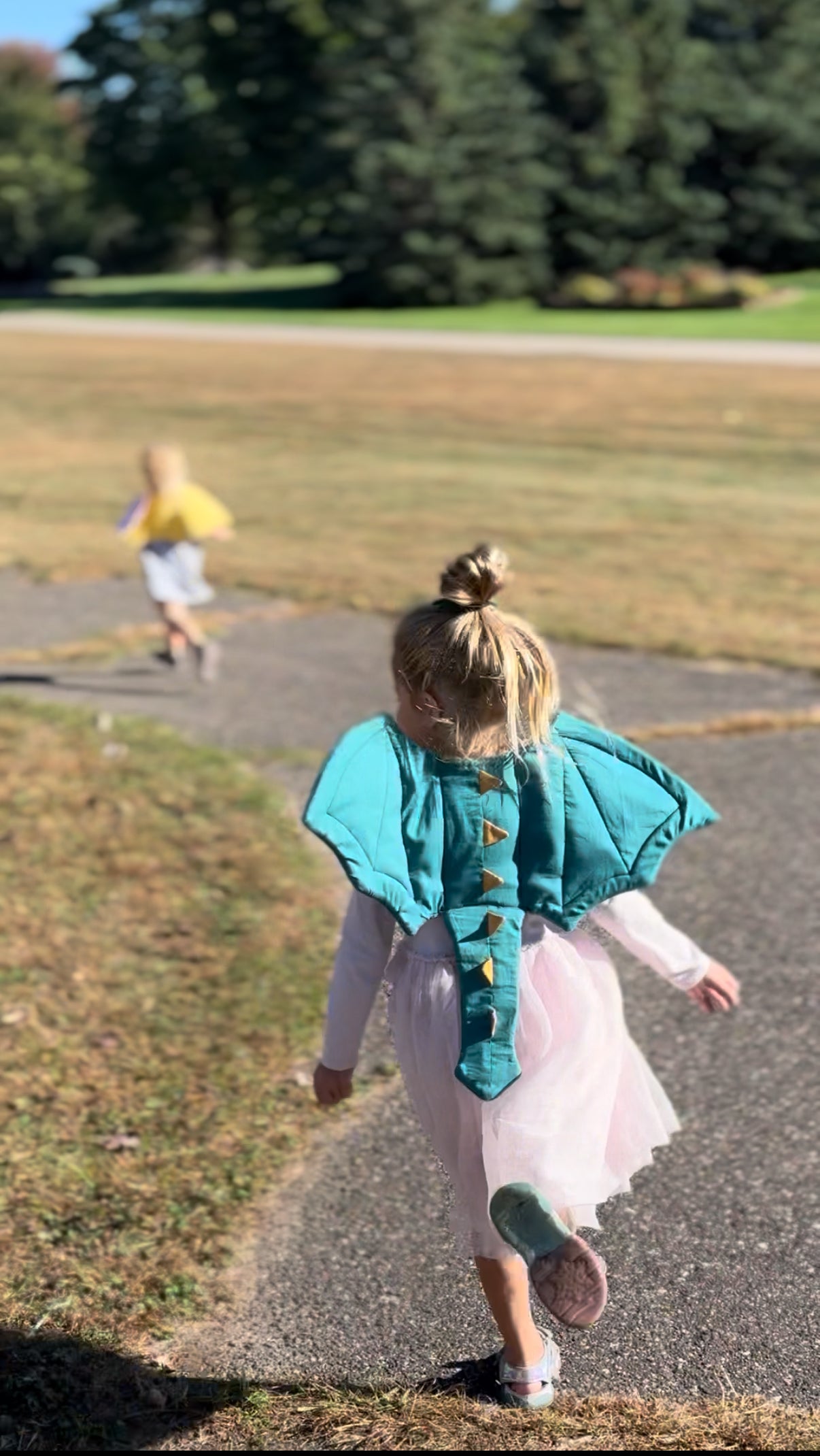 Bat Wings Sewing Pattern